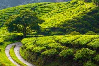 South India travel destination